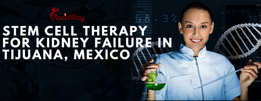 What is the Average Price for Stem Cell Therapy for Kidney Failure in Tijuana, Mexico?